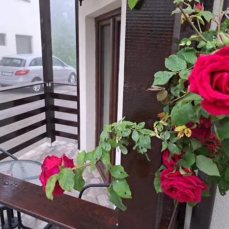 Daire Helena Zlatibor