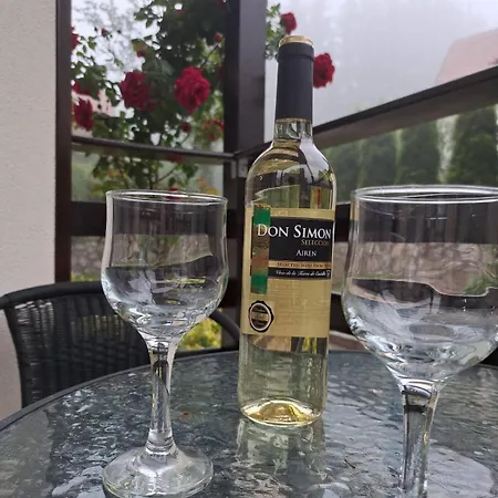 Daire Helena Zlatibor