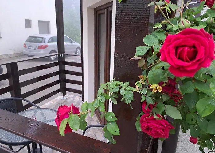 Apartman Helena Zlatibor